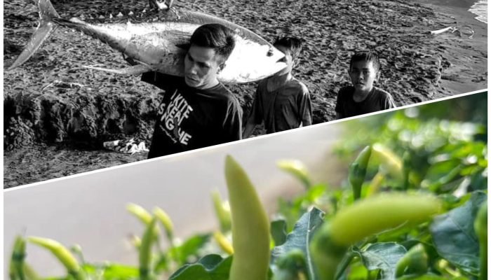 Berbagai Sektor Penunjang Potensi Alam Kabupaten Sangihe