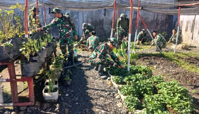 Satgas Kewilayahan Yonif 715/Motuliato Giatkan Program Ketahanan Pangan di Perbatasan