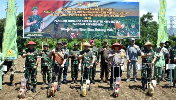 Pangdam Merdeka Gandeng Forkopimda Bitung Tanam Jagung Bersama