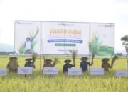 Perkuat Ketahanan Pangan, Dandim 1304/Gorontalo Panen Raya Padi Bersama di Bone Bolango