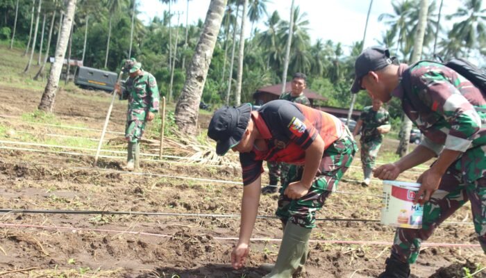 Dandim Manado Bersama Personel Tanam Padi Gogo di Kecamatan Bunaken