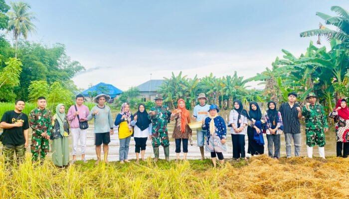 Danramil Tapa Bersama Poktan Tani Mekar Jaya Laksanakan Penaburan Benih Padi