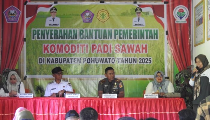 Dandim Pohuwato Hadiri Penyerahan Komoditi Padi Bantuan Dari Pemerintah