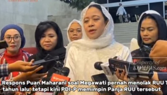 Respons Puan Maharani Terkait Revisi Undang-Undang TNI