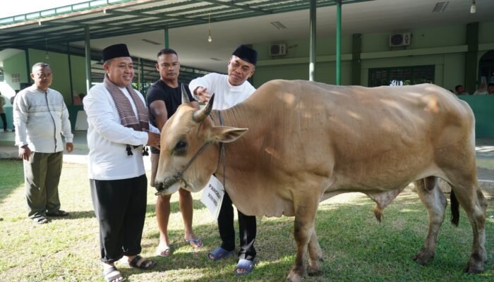 Kodam Merdeka Gelar Sholat Idul Adha dan Penyembelihan Hewan Kurban