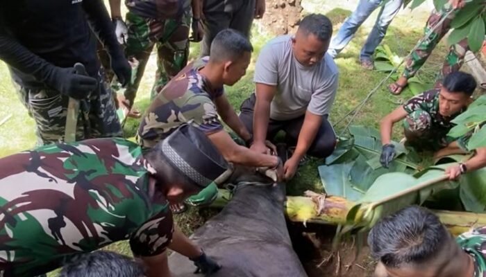 Wujud Rasa Syukur, Bekangdam XIII/Merdeka Sembelih 2 Hewan Qurban