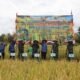 Danrem 131/Santiago dan Aster Kasdam XIII/Merdeka Panen Perdana Padi Unggul di Kabupaten Minut