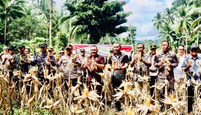 Ketua DPRD Ferdy Sondakh Hadiri Panen Raya Jagung Serentak