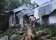 Respon Cepat Dandim 1312/Talaud Perintahkan Babinsa Atasi Dampak Bencana Alam