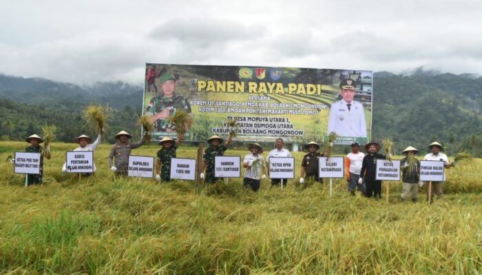 Danrem 131/Santiago Pimpin Panen Raya Padi Bersama Forkopimda Bolmong dan Petani Mopuya Utara