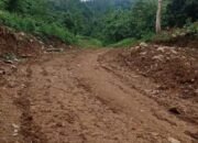 PETI Diduga Milik Ko Fanny di Boltim Bikin Rusak Hutan Lindung, Warga Desak DLH Sulut Tindaki