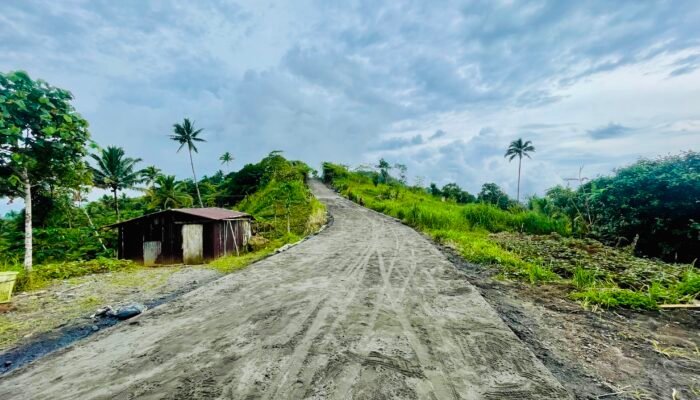 Kerja Nyata Bupati Michael Thungari, Jalan Poros Lenganeng-Bowongkulu Hampir Rampung
