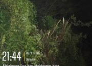 Warga Malayang Dua Keluhkan Pemadaman Listrik Jelang Natal: Kue Gagal Dibuat, Ikan Mati, Peralatan Rumah Tangga Terancam