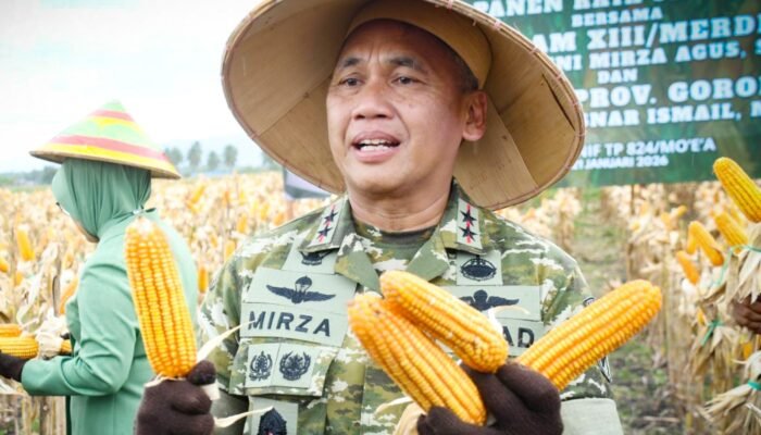 Pangdam XIII/Merdeka Panen Raya Jagung di Tabongo