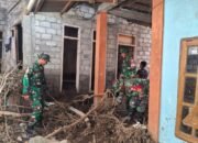 satgas penanggulangan bencana