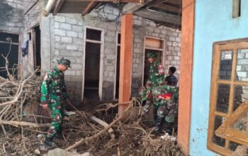 satgas penanggulangan bencana