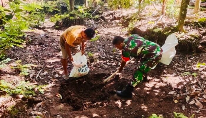 Wujud Kepedulian Babinsa, Serka Jenly Carlos Bantu Warga Bangun Kolam Ikan Nila di Kendahe