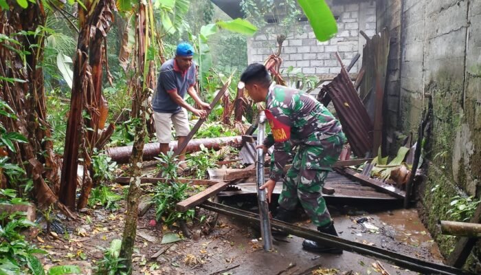 Angin Kencang Tumbangkan Pohon Kelapa, Rumah Warga di Bowongkulu 1 Rusak Berat