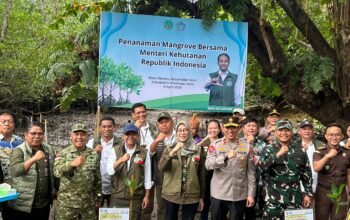 Pangdam Mayjen Mirza Agus Bersama Menteri Kehutanan Tanam Mangrove