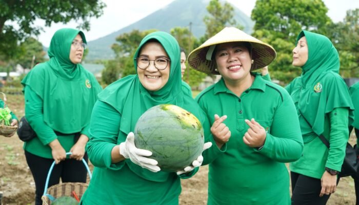 Persit Rindam XIII/Merdeka Panen Hasil Kebun dan Peternakan, Perkuat Kebersamaan Serta Ketahanan Pangan