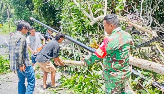 Babinsa Koramil 1301-05/Tahuna Bersama Warga Gelar Karya Bhakti Bersihkan Jalan Tertutup Pohon Tumbang