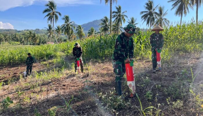 Wujudkan Ketahanan Pangan Nasional, Kikav 10/MSC Sulap Lahan Markas Jadi Kebun Produktif