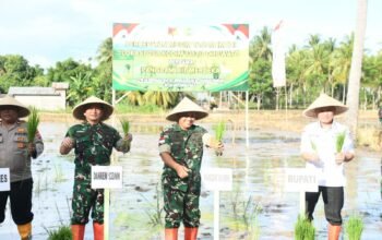 Sinergi TNI dan Rakyat: Pangdam XIII/Merdeka Hadiri Gerakan Tanam Padi Demi Kedaulatan Pangan