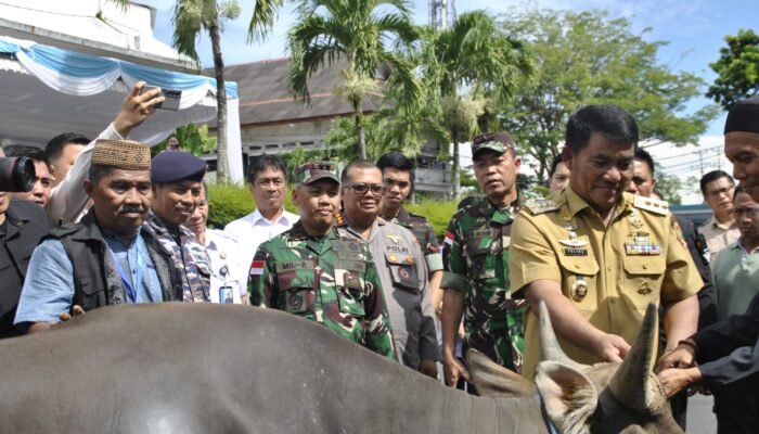 Wujud Kepedulian, Pangdam XIII/Merdeka Saksikan Penyerahan Hewan Kurban Presiden dan Gubernur Sulut
