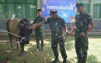 Pangdam XIII/Merdeka Serahkan Hewan Kurban, Dorong Prajurit Yonif TP 916/Bara Sakti Perkuat Semangat Berbagi