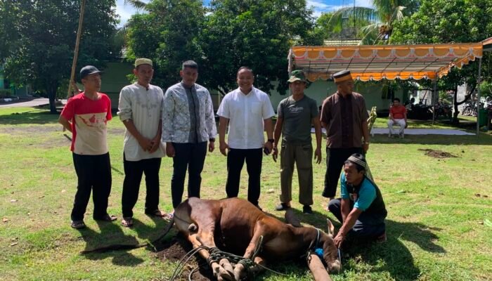 Semangat Berbagi di Hari Raya, Kodim 1310/Bitung Sembelih Hewan Kurban Usai Salat Ied Berjamaah
