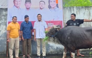 TIDAR Sulut Salurkan Sapi Kurban ke Masjid Al Djamal Lehimi di Manganitu Selatan