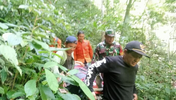 Pangdam XIII/Merdeka Perintahkan Prajurit Bantu Evakuasi Warga yang Hilang di Hutan Mintu Hingga Ditemukan Selamat