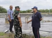 Danrem 131/Santiago Tinjau Tambak Udang Vaname di Minsel untuk Dukung Ketahanan Pangan