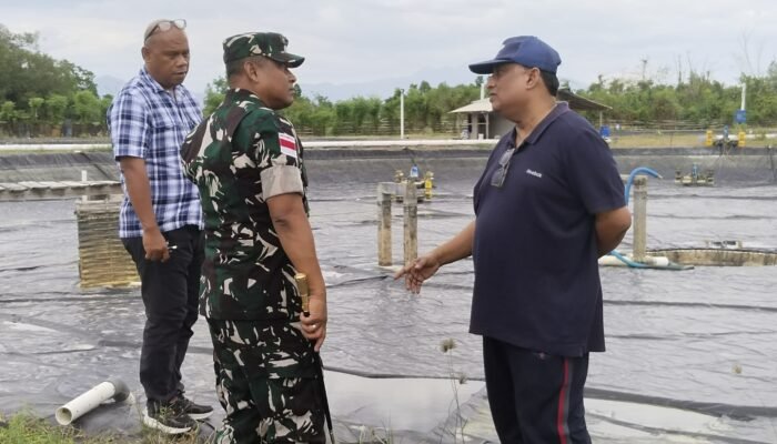 Danrem 131/Santiago Tinjau Tambak Udang Vaname di Minsel untuk Dukung Ketahanan Pangan
