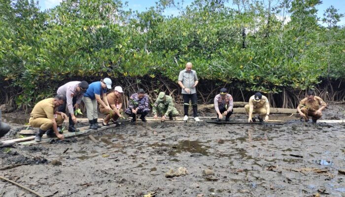 Dandim 1301/Sangihe Pimpin Sinergi Penanaman Mangrove di Talengen