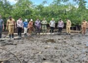 Peringati Hari Mangrove Sedunia, Pemkab Sangihe Bersama Forkopimda Tanam Mangrove di Pesisir Talengen