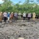 mangrove