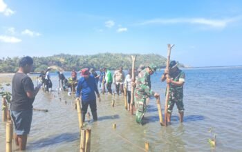 Koramil 1301-09 Tabukan Selatan Dukung Penanaman Mangrove di Palareng