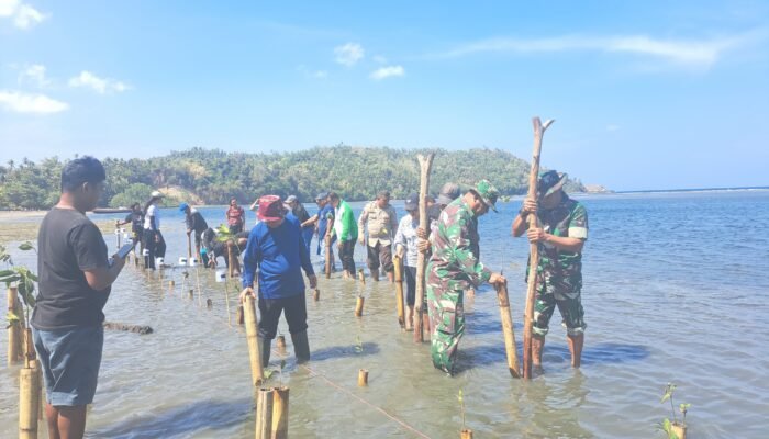 Koramil 1301-09 Tabukan Selatan Dukung Penanaman Mangrove di Palareng