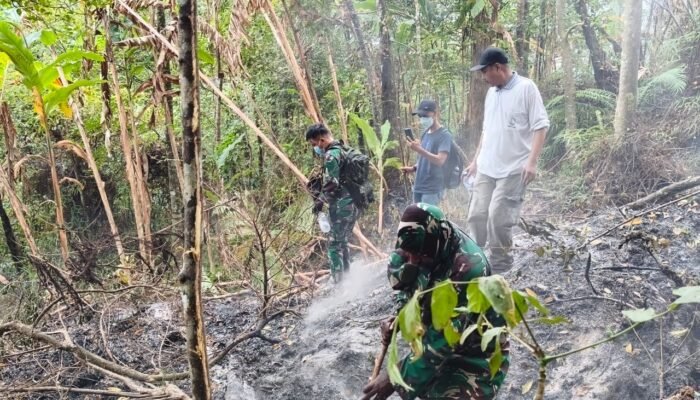 Tim Gabungan Kembali Pantau Gunung Awu, Asap dan Bara Api Masih Ditemukan