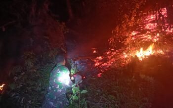 Babinsa Bersama Warga Berjibaku Padamkan Kebakaran Kebun Cengkih dan Pala di Mulengen