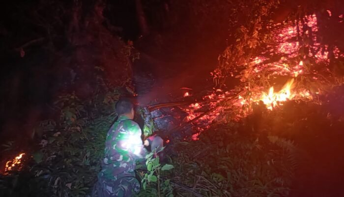 Babinsa Bersama Warga Berjibaku Padamkan Kebakaran Kebun Cengkih dan Pala di Mulengen