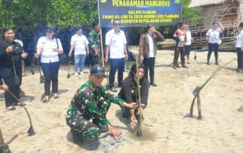 Satgas TMMD ke-130 Kodim 1301/Sangihe Bersama Pemkab Sitaro Tanam Mangrove